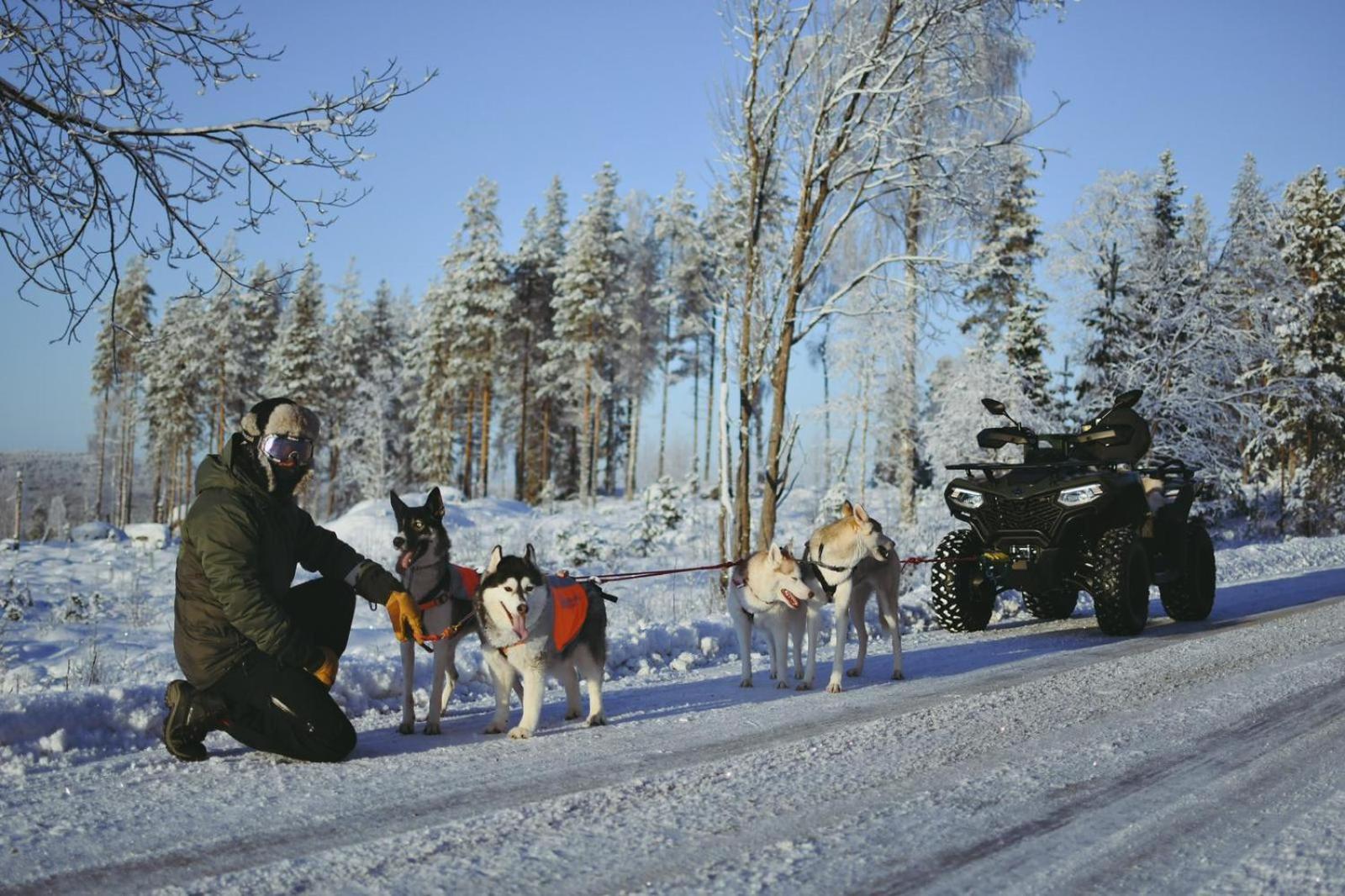 Arctic Ranch Villa Överkalix Dış mekan fotoğraf