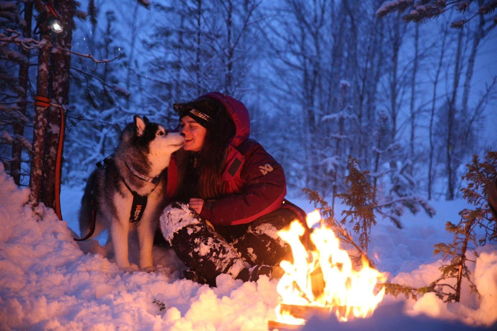 Arctic Ranch Villa Överkalix Dış mekan fotoğraf