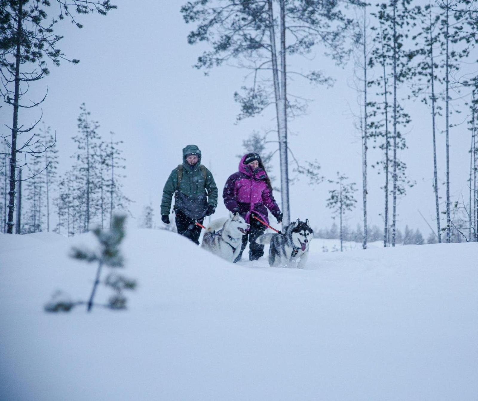 Arctic Ranch Villa Överkalix Dış mekan fotoğraf
